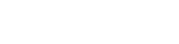 nala logo white