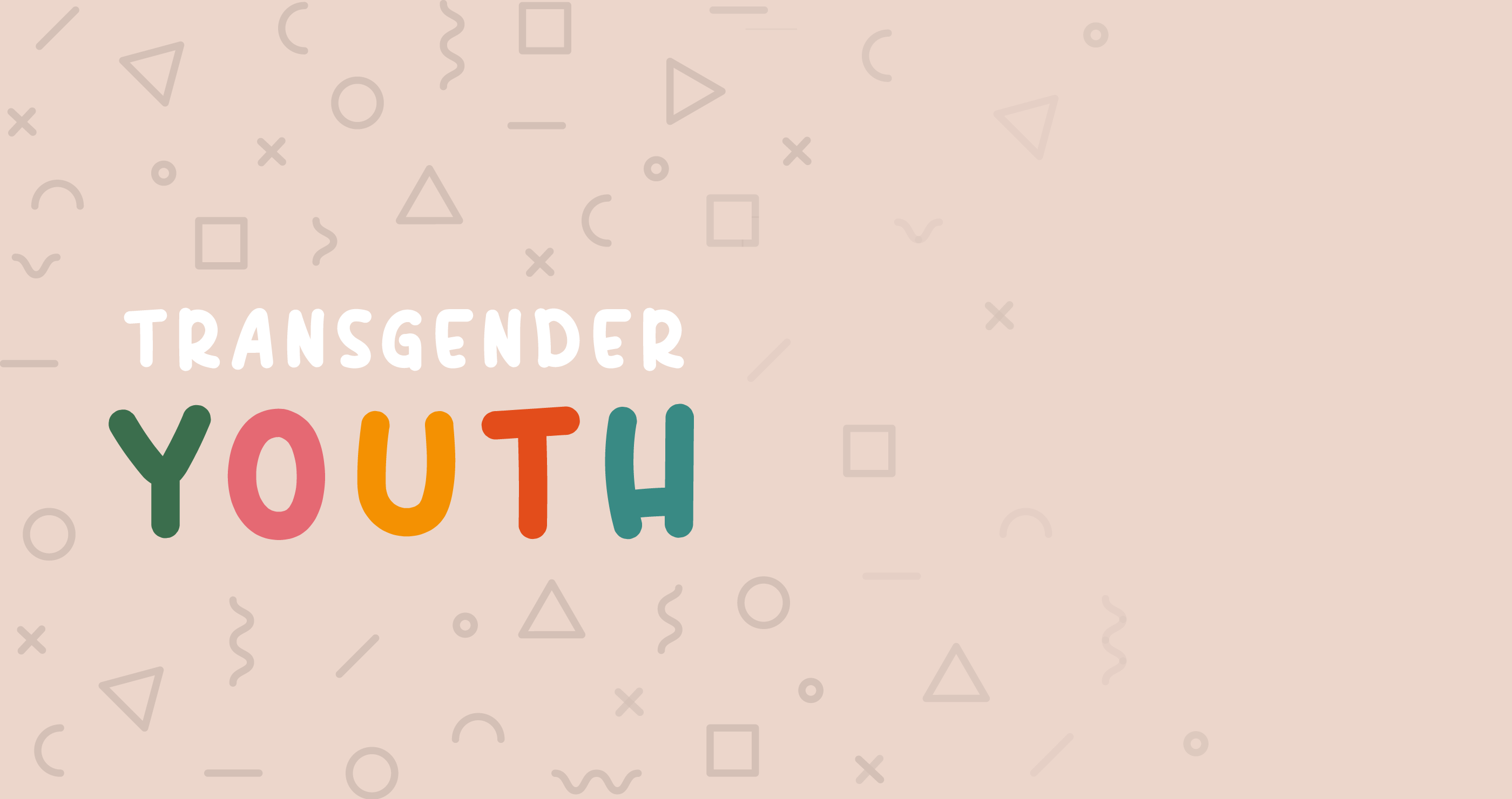 trans youth banner