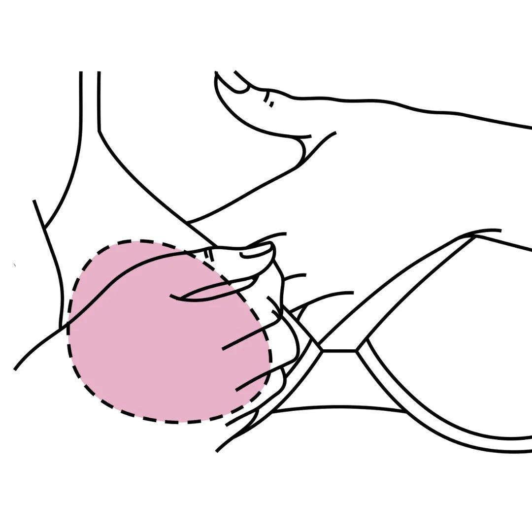 line illustration inserting bra bud into bra